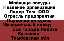 Мойщица посуды › Название организации ­ Лидер Тим, ООО › Отрасль предприятия ­ Персонал на кухню › Минимальный оклад ­ 22 800 - Все города Работа » Вакансии   . Тамбовская обл.,Моршанск г.